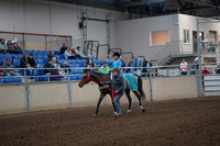 2019 Morgan Horse Show - Aug 31, 2019 - 09930