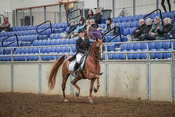 Spring Fling - Saturday - April 20, 2019  -  03706