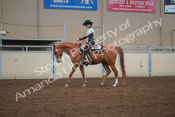 2019 Morgan Horse Show - Aug 30, 2019 - 16786