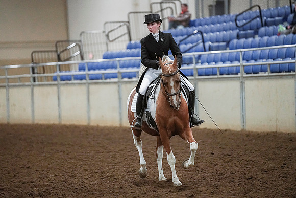 Spring Fling - Saturday - April 20, 2019  -  03729