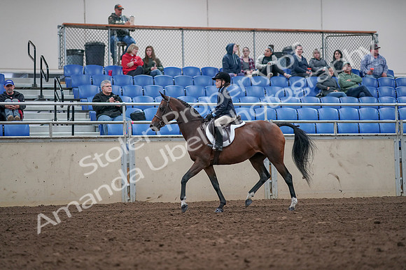 2019 Morgan Horse Show - Aug 31, 2019 - 19436