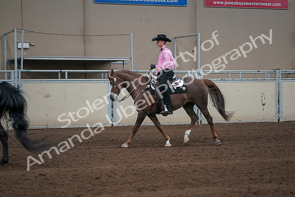2019 Morgan Horse Show - Sept 01, 2019 - 06995