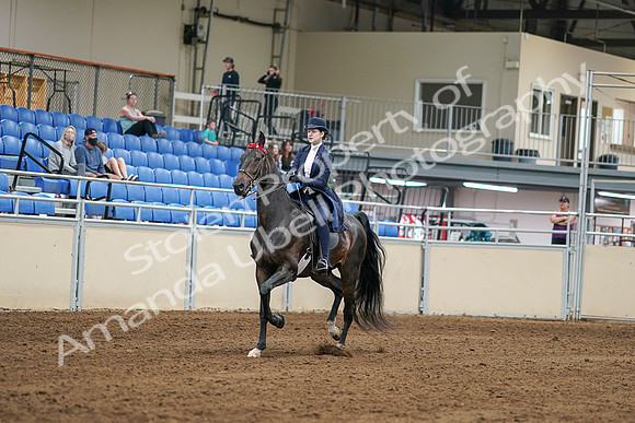 2020 - AB Morgan Horse - Sat, Sept 05 - 06251
