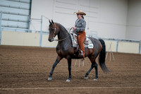 2020 - AB Morgan Horse - Fri, Sept 04 - 00051