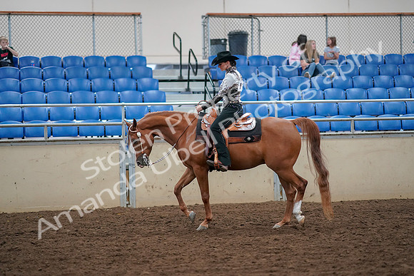 2019 Morgan Horse Show - Aug 30, 2019 - 16735