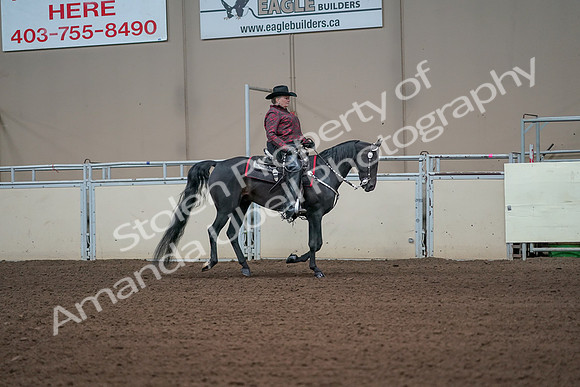 2019 Morgan Horse Show - Aug 31, 2019 - 10714