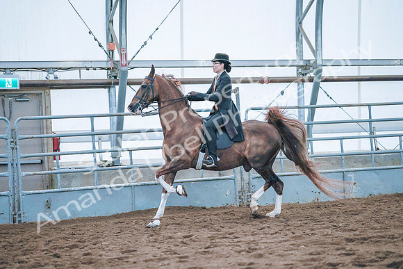 July 20, 2019 - 24043