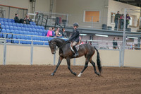 2020 - AB Morgan Horse - Sun, Sept 06 - 00878