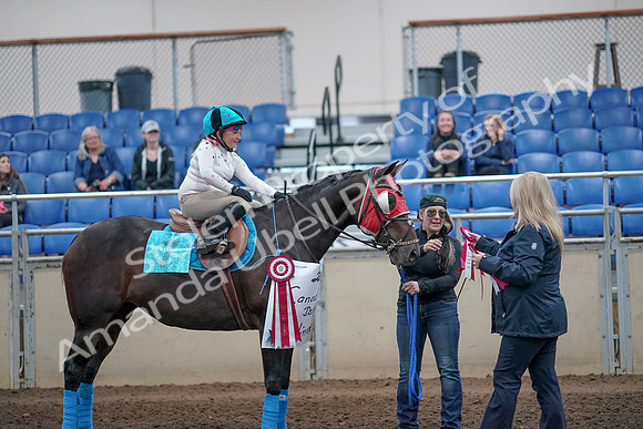 2019 Morgan Horse Show - Aug 31, 2019 - 10188