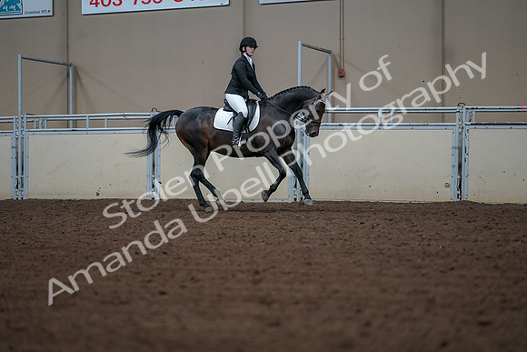 2019 Morgan Horse Show - Aug 30, 2019 - 18631
