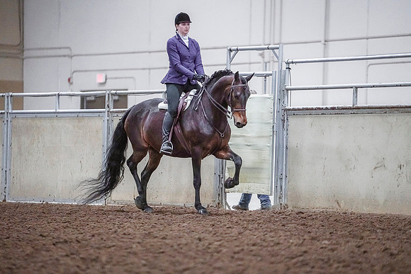 Spring Fling - Saturday - April 20, 2019  -  03824
