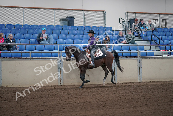 2019 Morgan Horse Show - Aug 31, 2019 - 10621