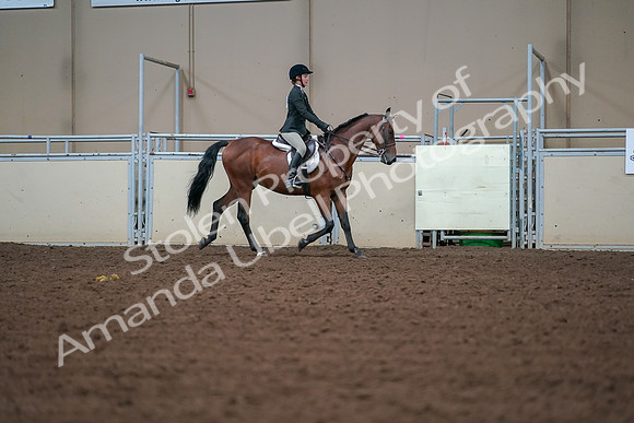 2019 Morgan Horse Show - Aug 30, 2019 - 20857