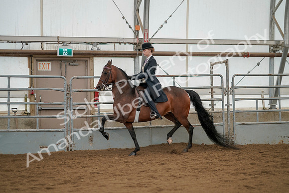 July 20, 2019 - 04267