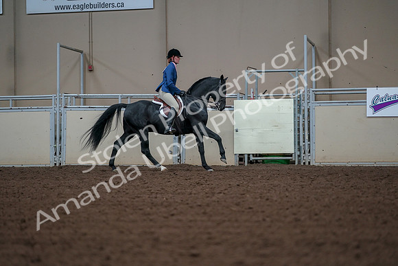 2019 Morgan Horse Show - Aug 30, 2019 - 18617