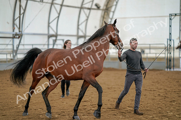 July 19, 2019 - 961