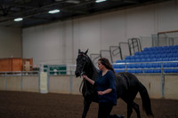 2019 Morgan Horse Show - Aug 31, 2019 - 00512