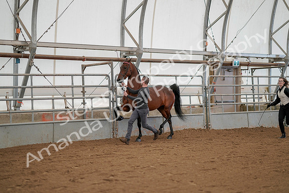 July 19, 2019 - 1227