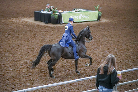 Spring Fling - Saturday - April 20, 2019  -  03905