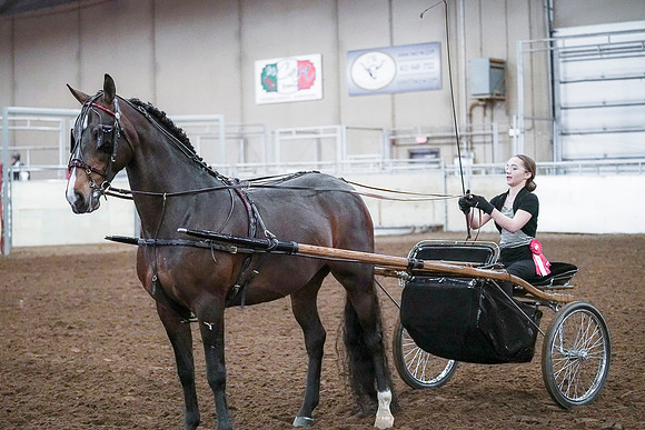 Spring Fling - Saturday - April 20, 2019  -  00324