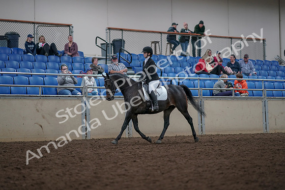 2019 Morgan Horse Show - Aug 31, 2019 - 16634