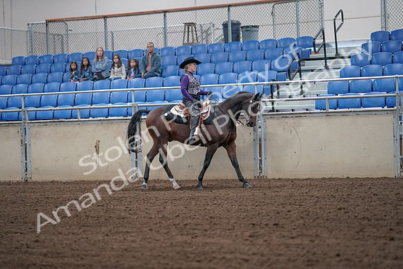 2019 Morgan Horse Show - Aug 31, 2019 - 10778