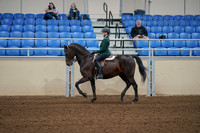 2020 - AB Morgan Horse - Fri, Sept 04 - 03953
