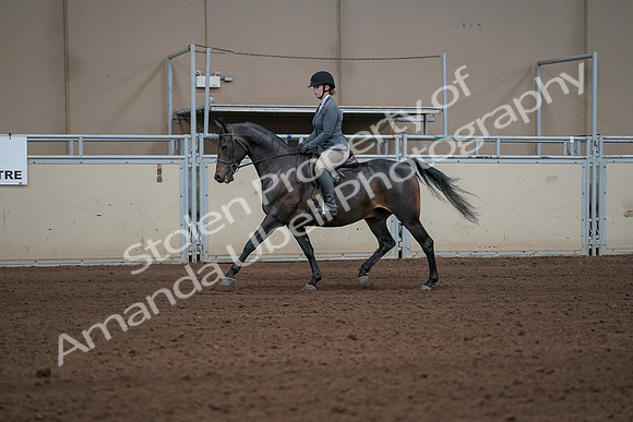 2019 Morgan Horse Show - Sept 01, 2019 - 10916