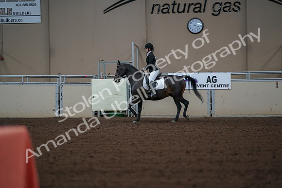 2019 Morgan Horse Show - Aug 30, 2019 - 18371