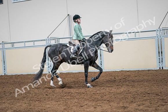 2020 - AB Morgan Horse - Sun, Sept 06 - 08054