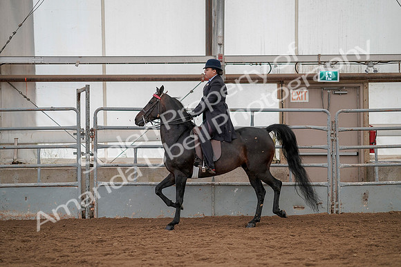 July 20, 2019 - 04222