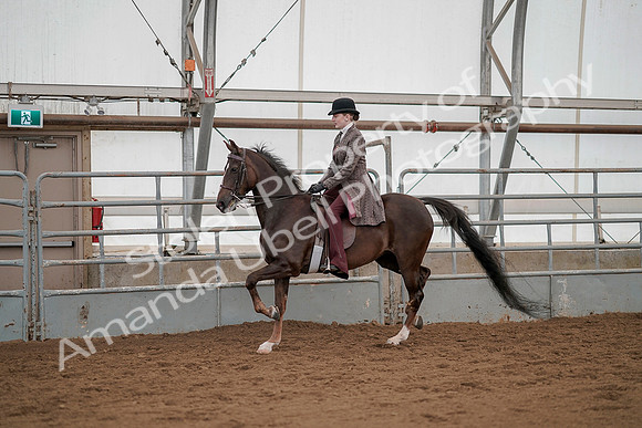 July 20, 2019 - 04245