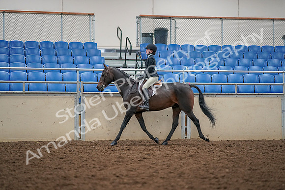 2019 Morgan Horse Show - Aug 30, 2019 - 23126