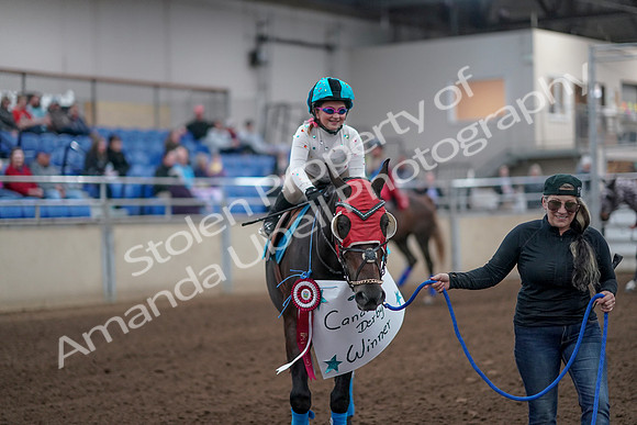 2019 Morgan Horse Show - Aug 31, 2019 - 09977