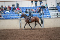 2019 Morgan Horse Show - Aug 31, 2019 - 21379