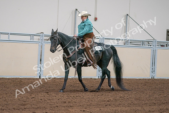 2020 - AB Morgan Horse - Sun, Sept 06 - 01583