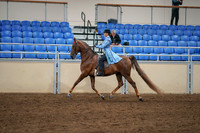 2020 - AB Morgan Horse - Sat, Sept 05 - 03318