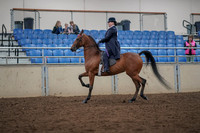 2019 Morgan Horse Show - Aug 30, 2019 - 28357