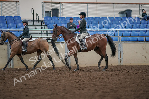2019 Morgan Horse Show - Aug 30, 2019 - 20463