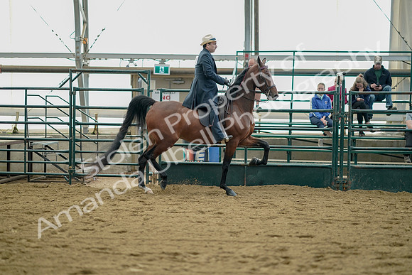 July 21, 2019 - 01737