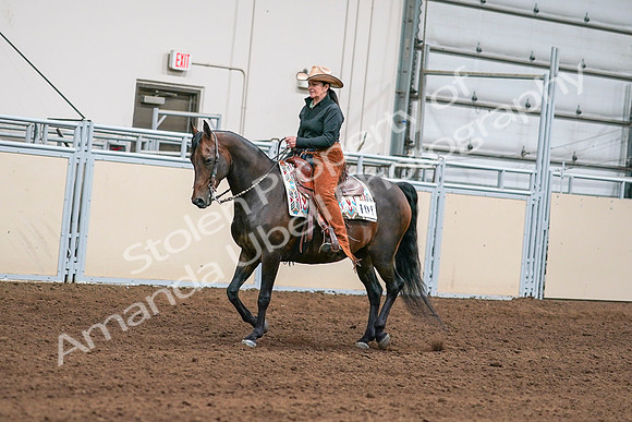2020 - AB Morgan Horse - Sun, Sept 06 - 01541