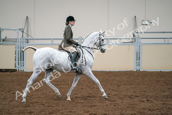 2020 - AB Morgan Horse - Sat, Sept 05 - 14545