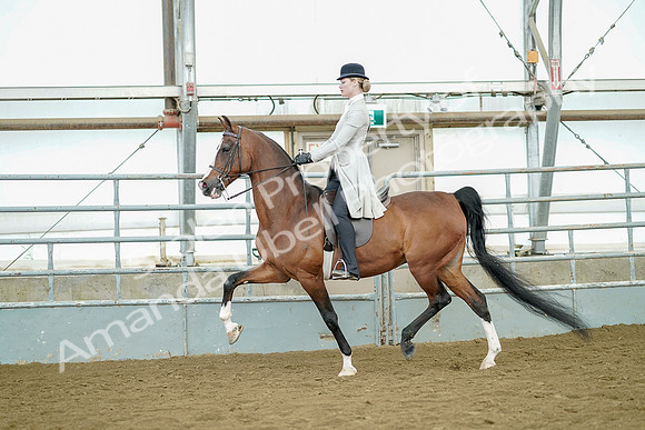 July 20, 2019 - 07788