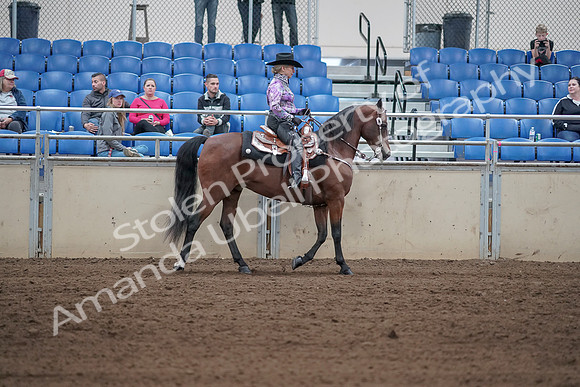 2019 Morgan Horse Show - Sept 01, 2019 - 07071