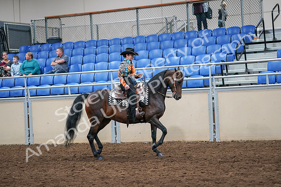 2020 - AB Morgan Horse - Sun, Sept 06 - 07565