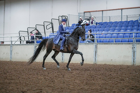 Spring Fling - Saturday - April 20, 2019  -  00776