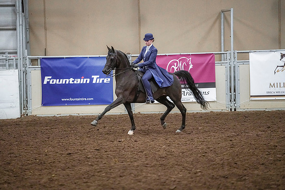 Spring Fling - Saturday - April 20, 2019  -  03913