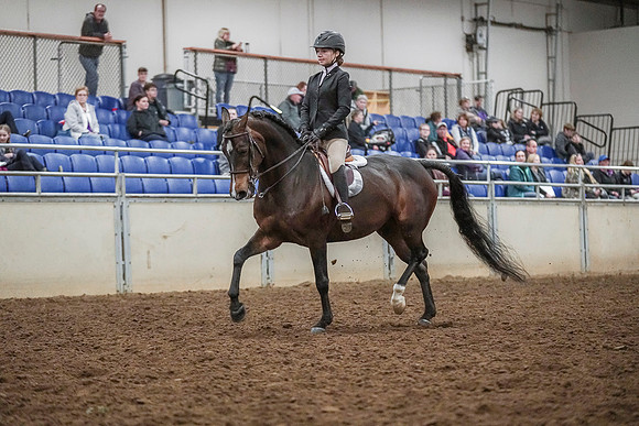 Spring Fling - Saturday - April 20, 2019  -  03757