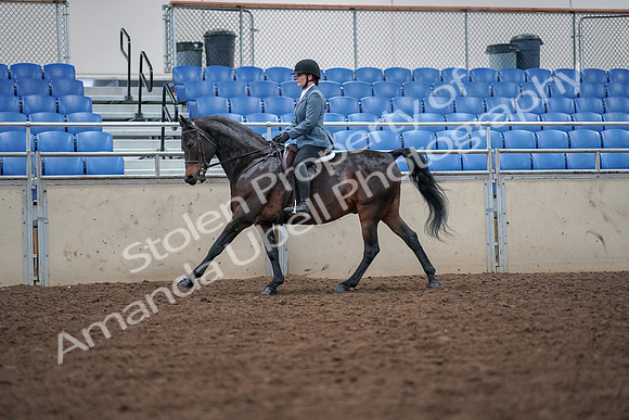 2019 Morgan Horse Show - Aug 30, 2019 - 18468