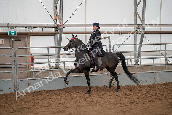 July 20, 2019 - 04486